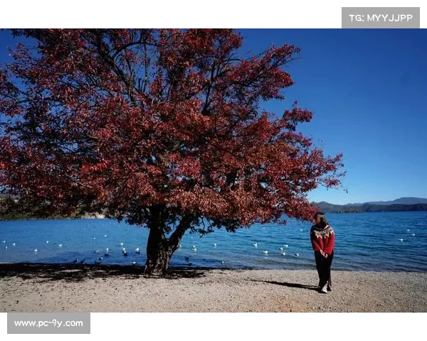 云南五百骑手挑战泸沽湖环湖赛道展现群众体育新风貌 云南五百骑手挑战泸沽湖环湖赛道展现群众体育新风貌
